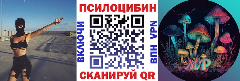 Псилоцибиновые грибы мицелий что такое Ессентуки